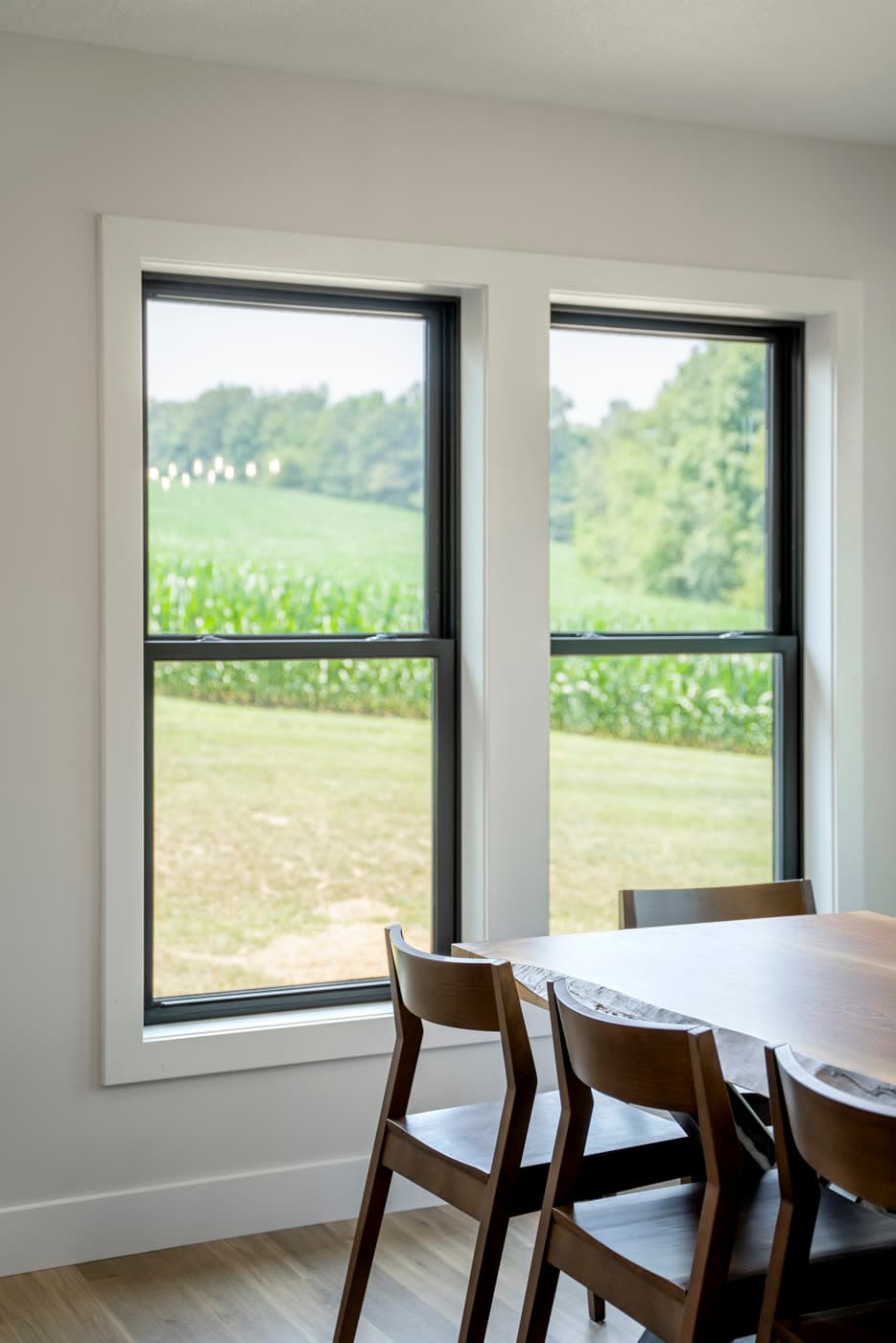 Windows — Revive exterior remodeling in New Jersey